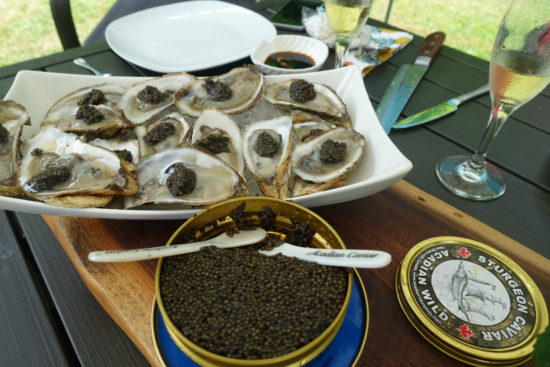 large platter of oysters with a large jar of caviar